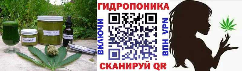 как найти наркотики  Реутов  hydra зеркало  Еда ТГК марихуана 