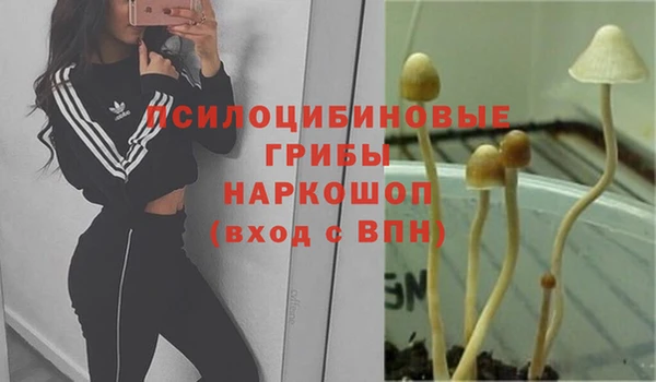 дмт Белокуриха